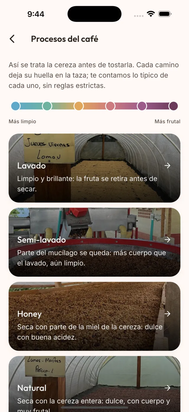 Guía de procesos del café en la app, ordenados de más limpio a más frutal.